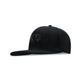 Snapback Flex Fit